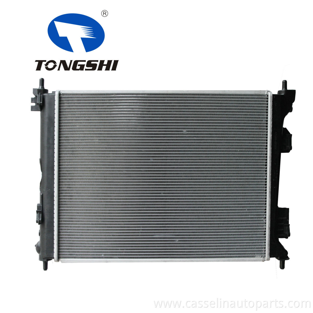 High Quality Auto Parts Car Aluminum Radiator for NISSAN TERRANO 3.0D 02 MT OEM 21410-2X900